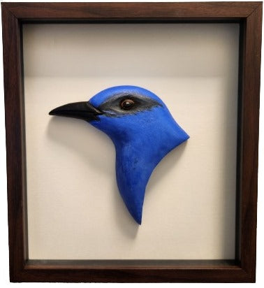 Wooden-Handcrafted-Frame_Egyptian-Plover