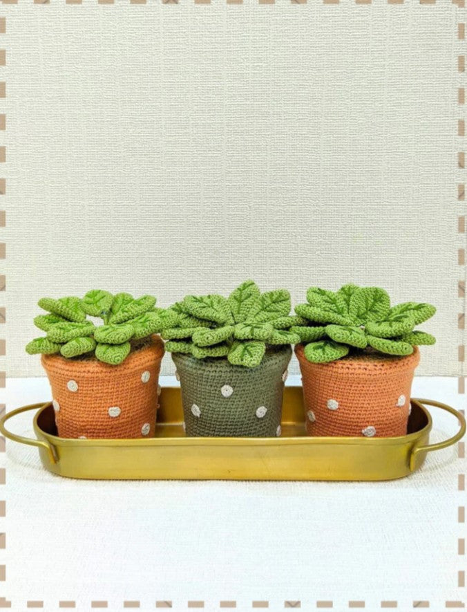Festive-Hampers_The-Happy-Earth-Collection