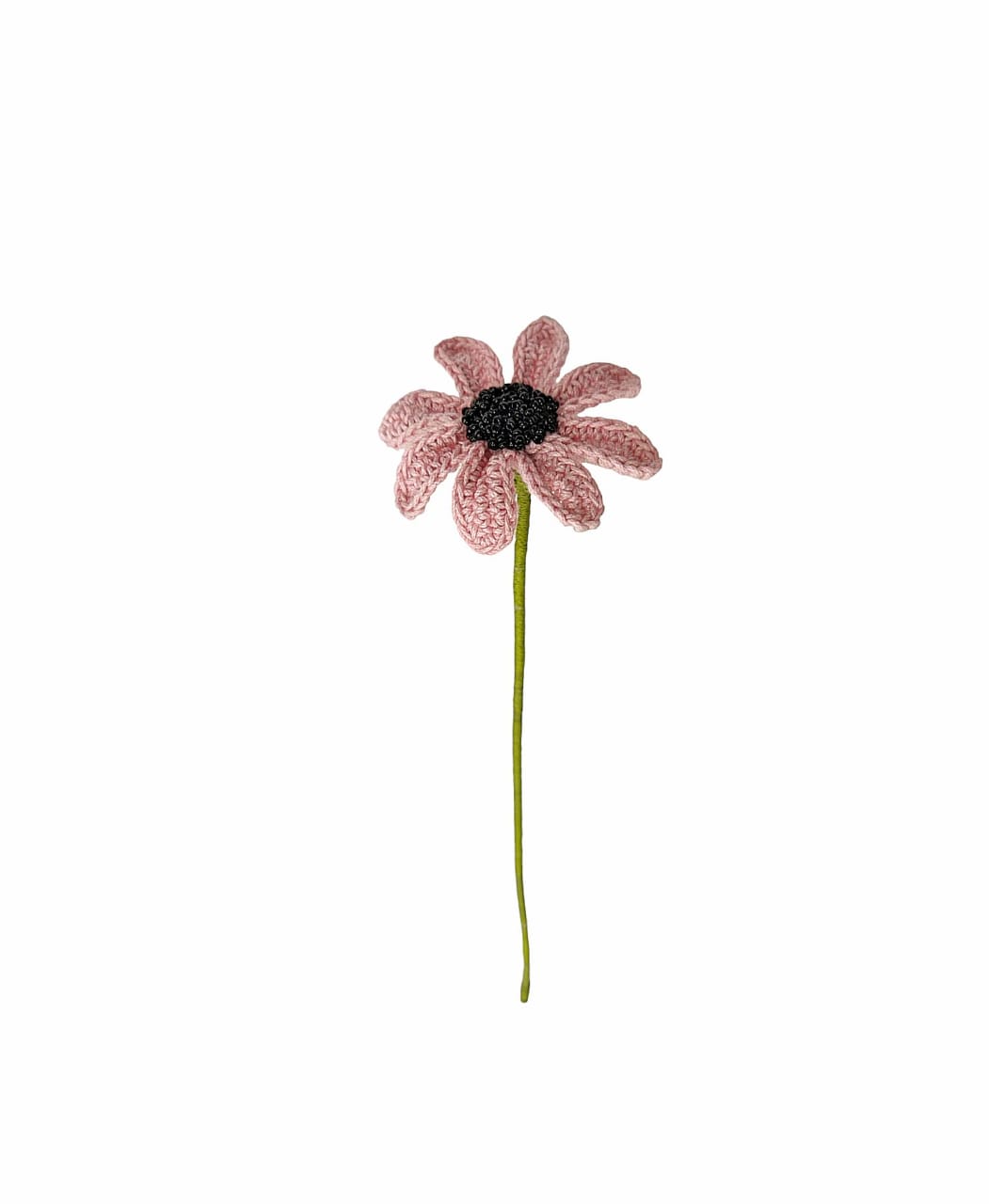 Flowers-Single-Stem_Chic Daisy